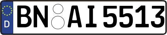 BN-AI5513