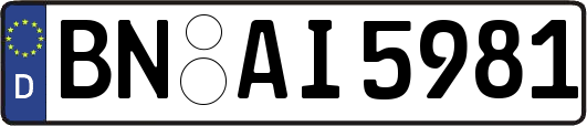 BN-AI5981