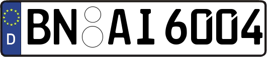 BN-AI6004