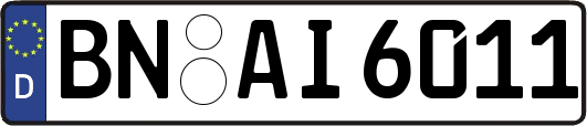 BN-AI6011