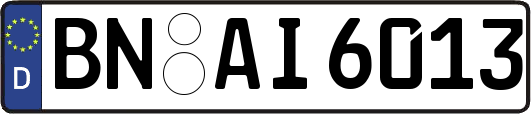 BN-AI6013