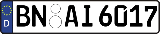 BN-AI6017