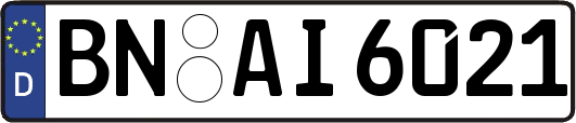 BN-AI6021