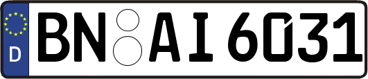 BN-AI6031