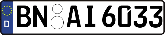 BN-AI6033