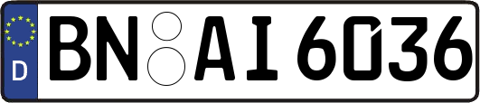 BN-AI6036