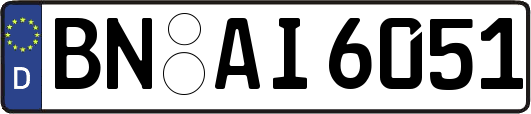 BN-AI6051