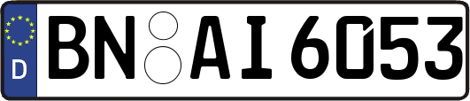 BN-AI6053