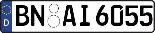 BN-AI6055