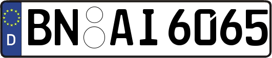 BN-AI6065