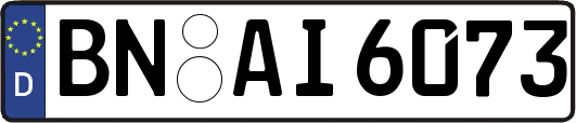 BN-AI6073