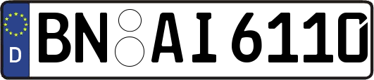 BN-AI6110