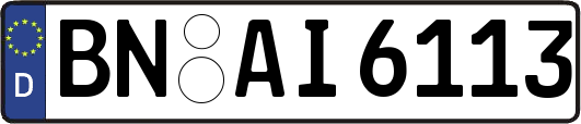 BN-AI6113