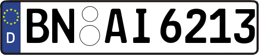 BN-AI6213