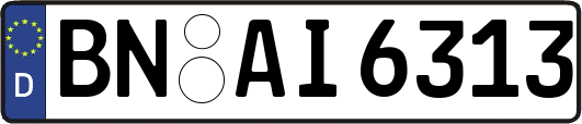 BN-AI6313