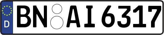 BN-AI6317
