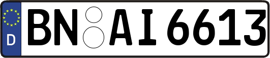 BN-AI6613