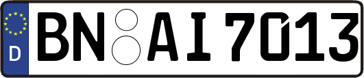 BN-AI7013