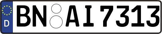 BN-AI7313