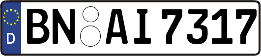 BN-AI7317