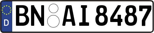 BN-AI8487
