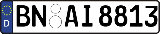 BN-AI8813