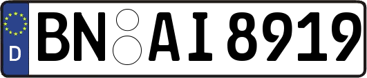 BN-AI8919