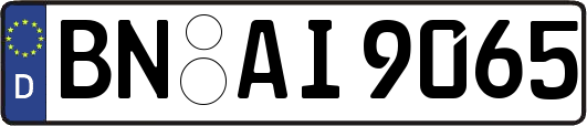BN-AI9065