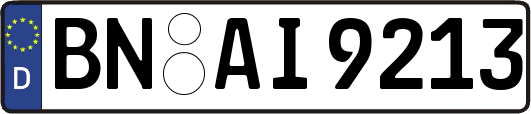 BN-AI9213