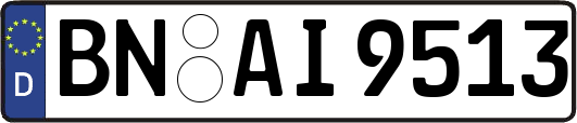 BN-AI9513