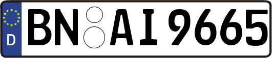 BN-AI9665