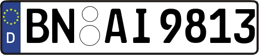 BN-AI9813