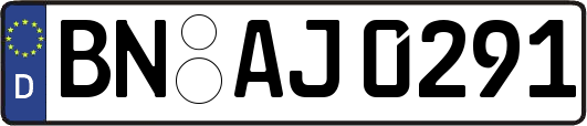 BN-AJ0291