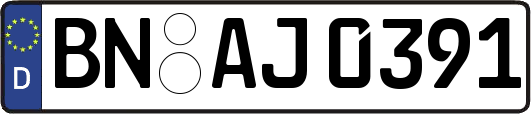 BN-AJ0391