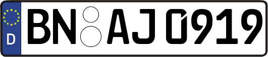 BN-AJ0919