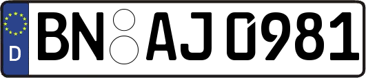 BN-AJ0981