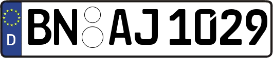 BN-AJ1029