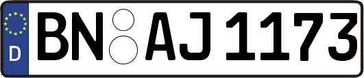BN-AJ1173