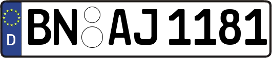 BN-AJ1181