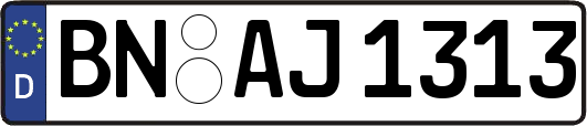 BN-AJ1313