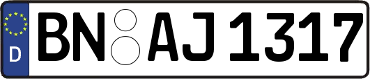 BN-AJ1317