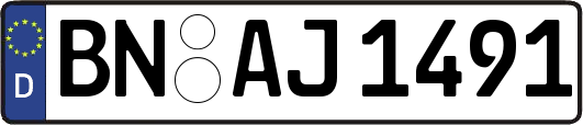 BN-AJ1491
