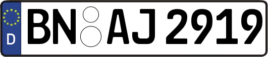 BN-AJ2919