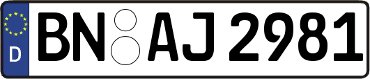 BN-AJ2981