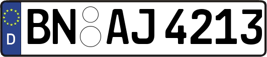 BN-AJ4213
