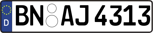 BN-AJ4313