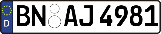 BN-AJ4981