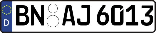 BN-AJ6013