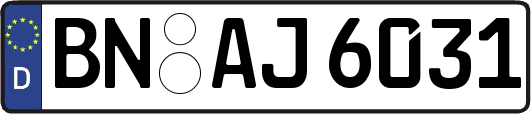 BN-AJ6031