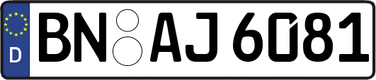 BN-AJ6081